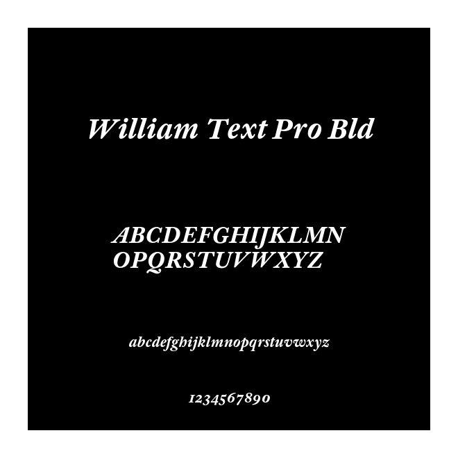 William Text Pro Bld
