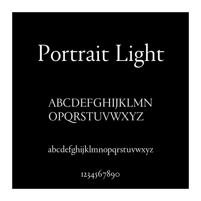 Portrait Light