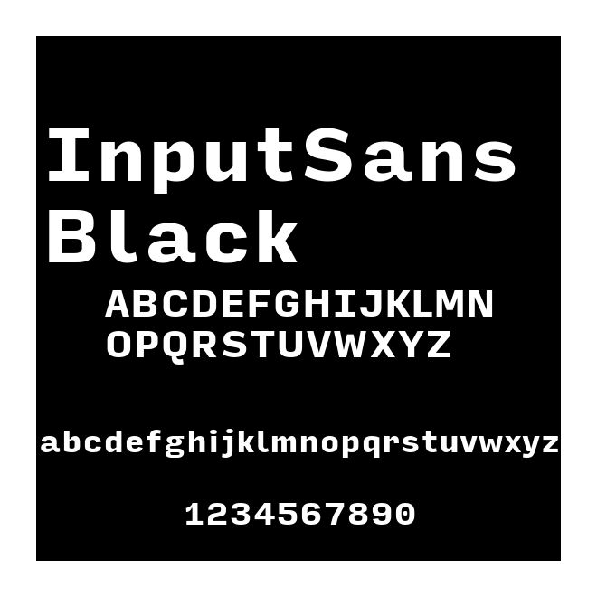 InputSans Black