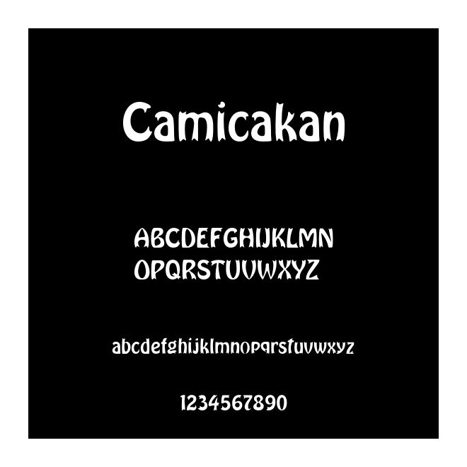 Camicakan