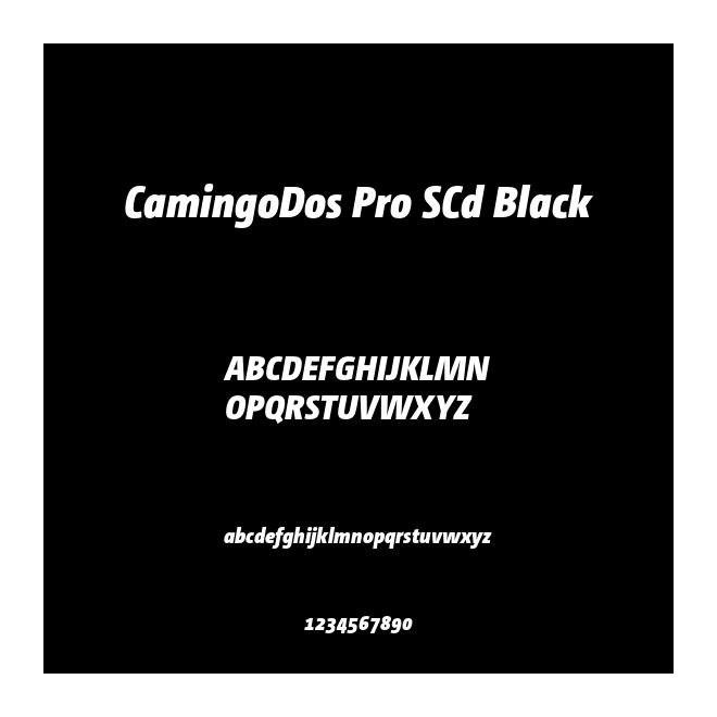 CamingoDos Pro SCd Black