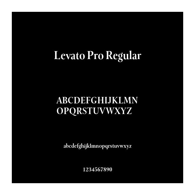 Levato Pro Regular