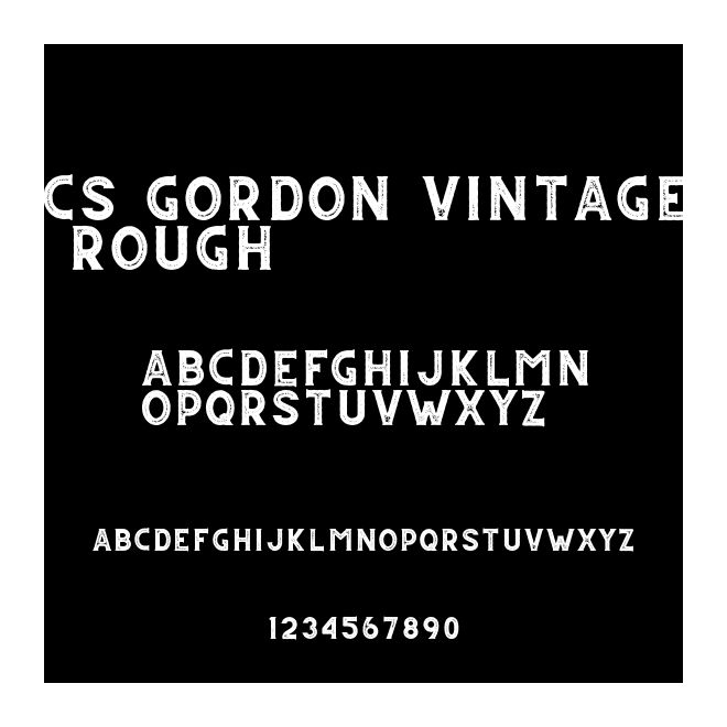 CS Gordon Vintage Rough