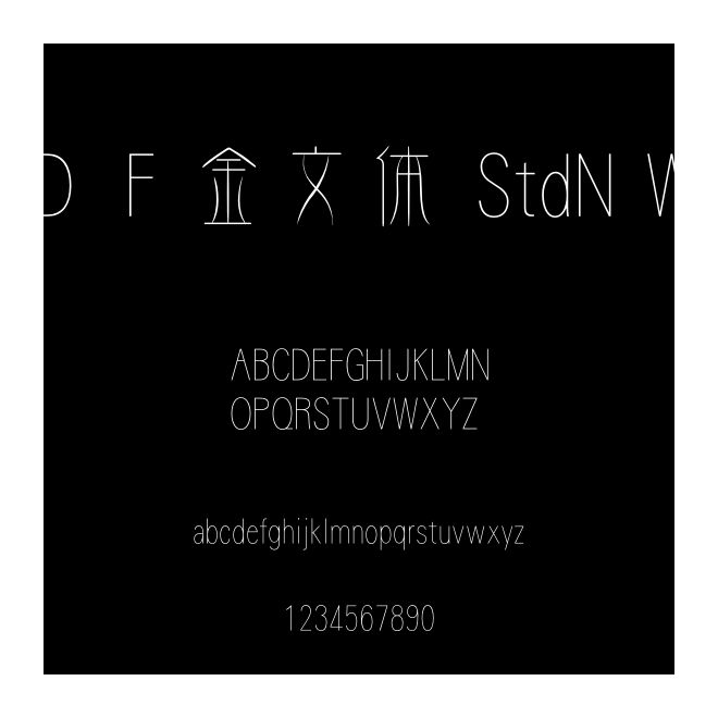 ＤＦ金文體 StdN W2