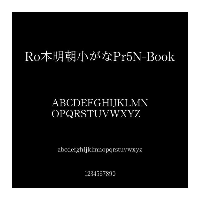 Ro本明朝小がなPr5N-Book