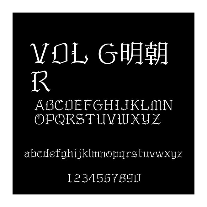 VDL G明朝 R