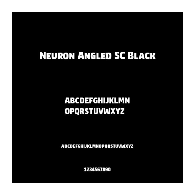 Neuron Angled SC Black