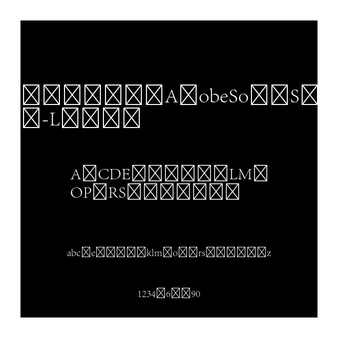 VNHNGN+AdobeSongStd-Light