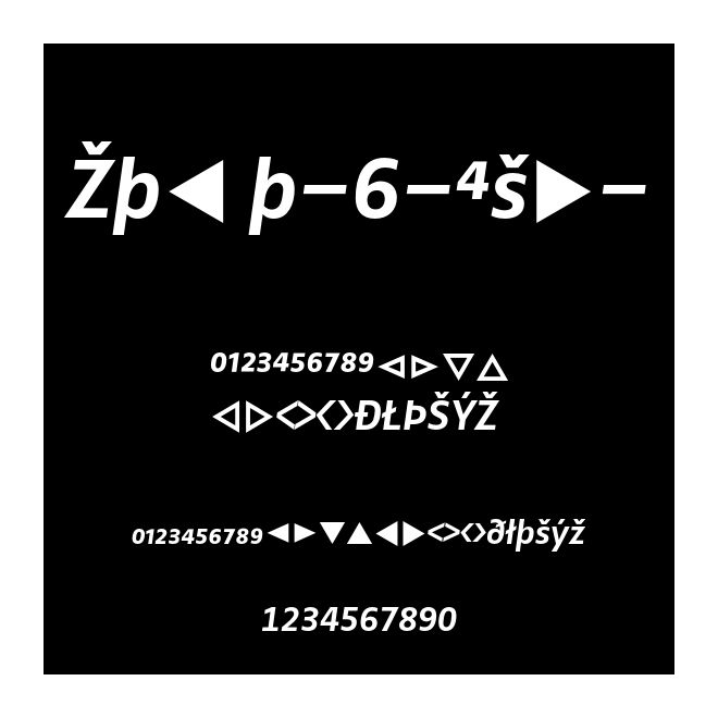 Zwo w-6-Exp-