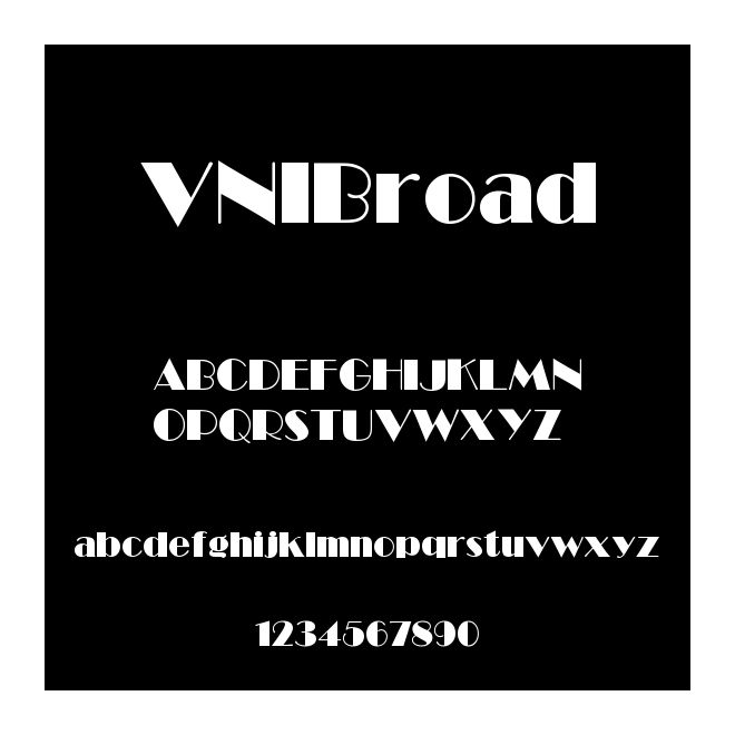 VNIBroad