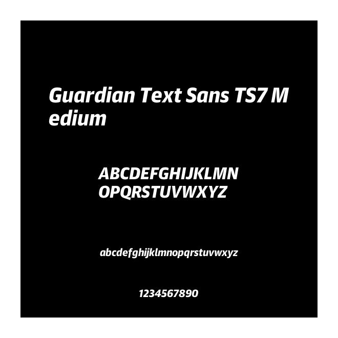 Guardian Text Sans TS7 Medium