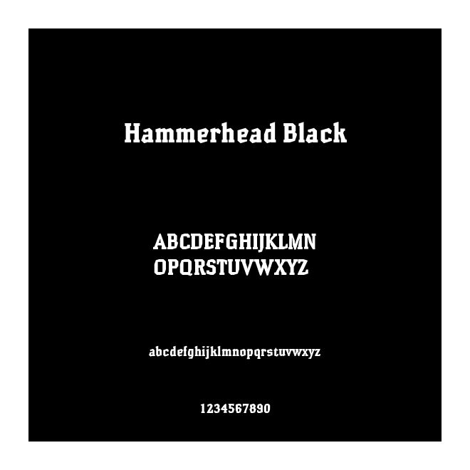 Hammerhead Black