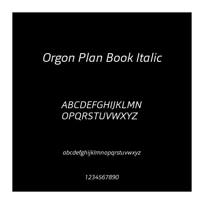 Orgon Plan Book Italic
