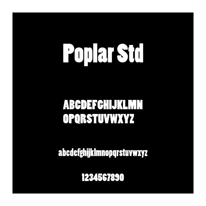 Poplar Std