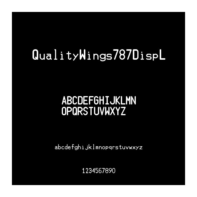 QualityWings787DispL