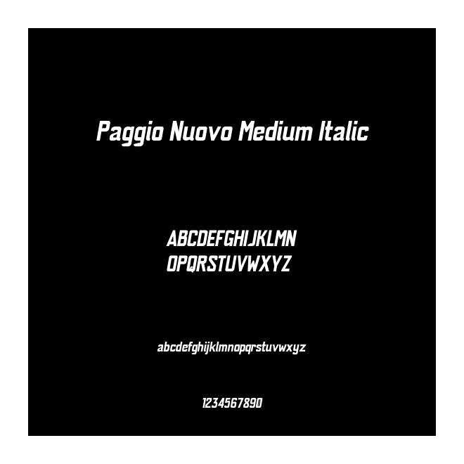 Paggio Nuovo Medium Italic