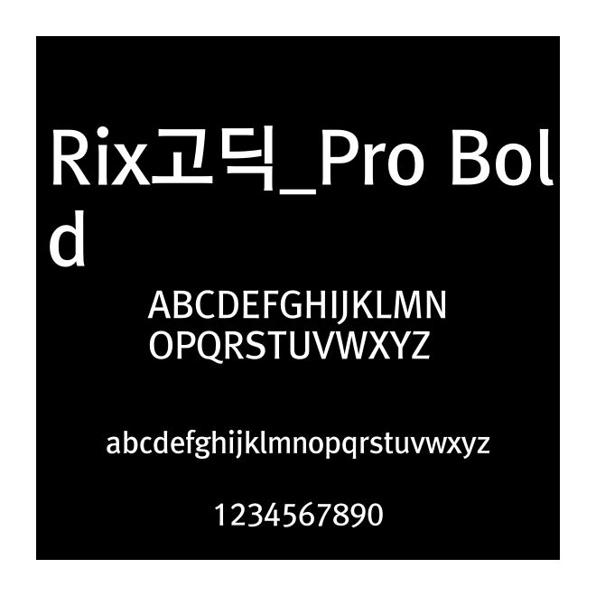 Rix??_Pro Bold