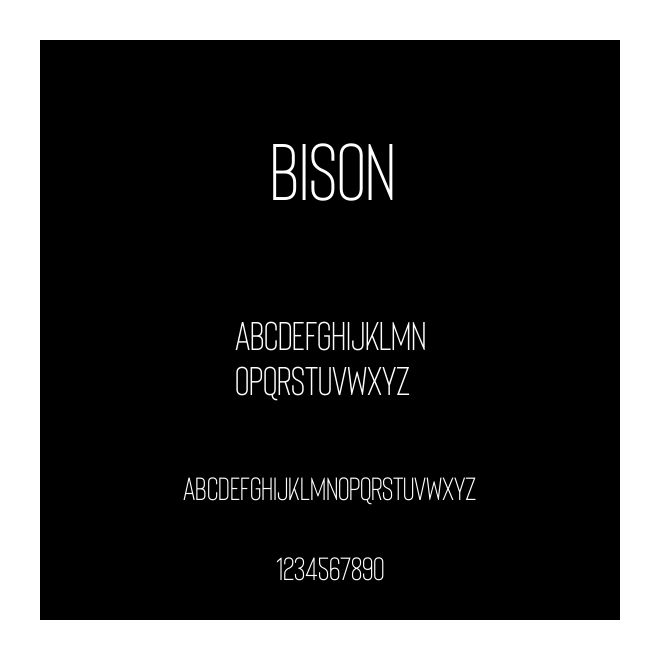 Bison