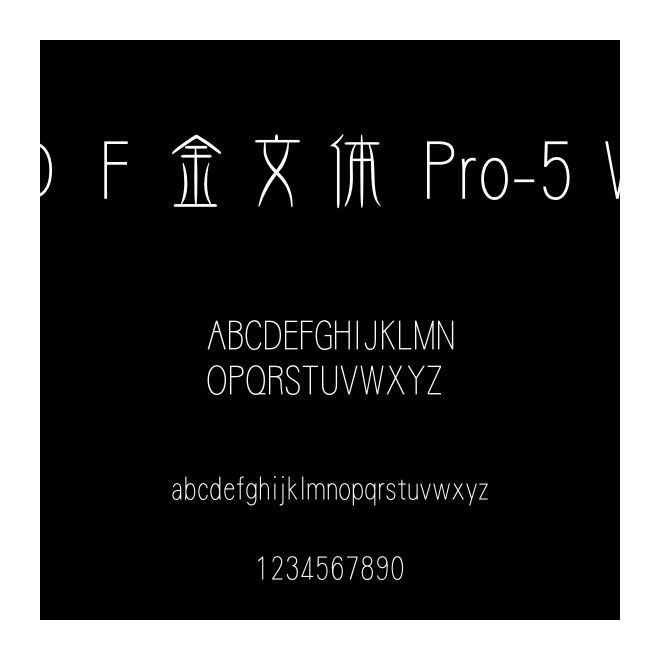 ＤＦ金文體 Pro-5 W3