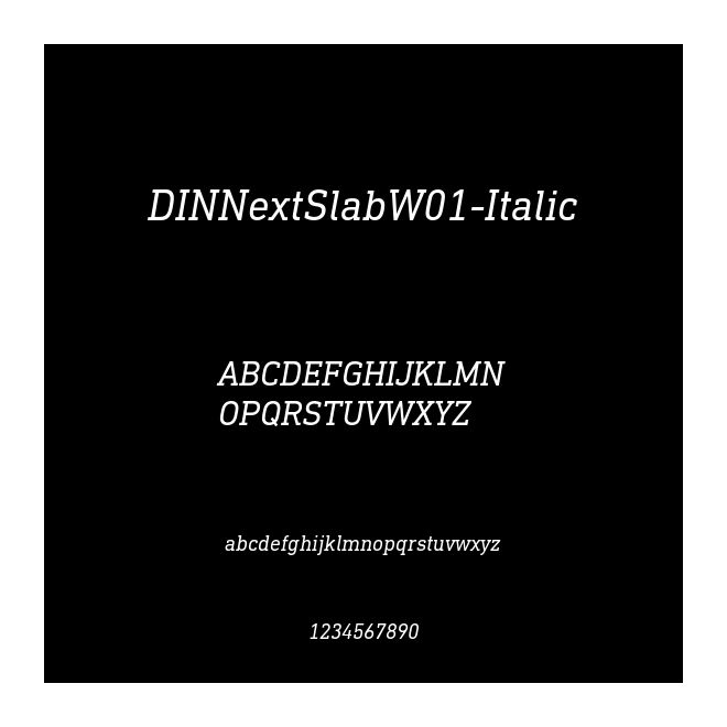 DINNextSlabW01-Italic