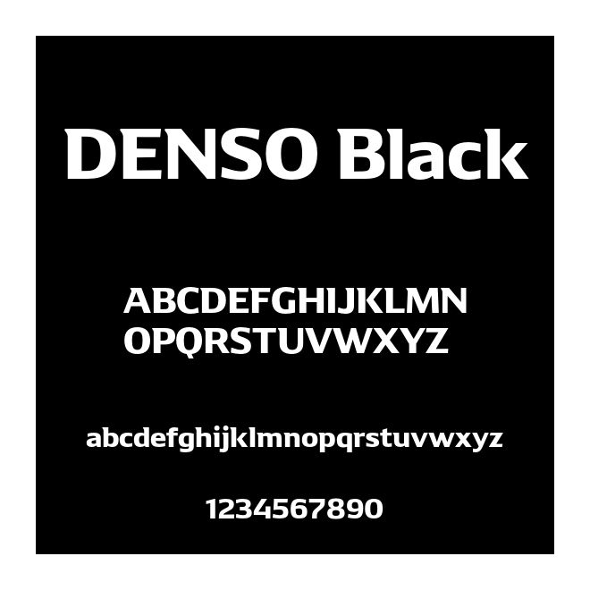 DENSO Black