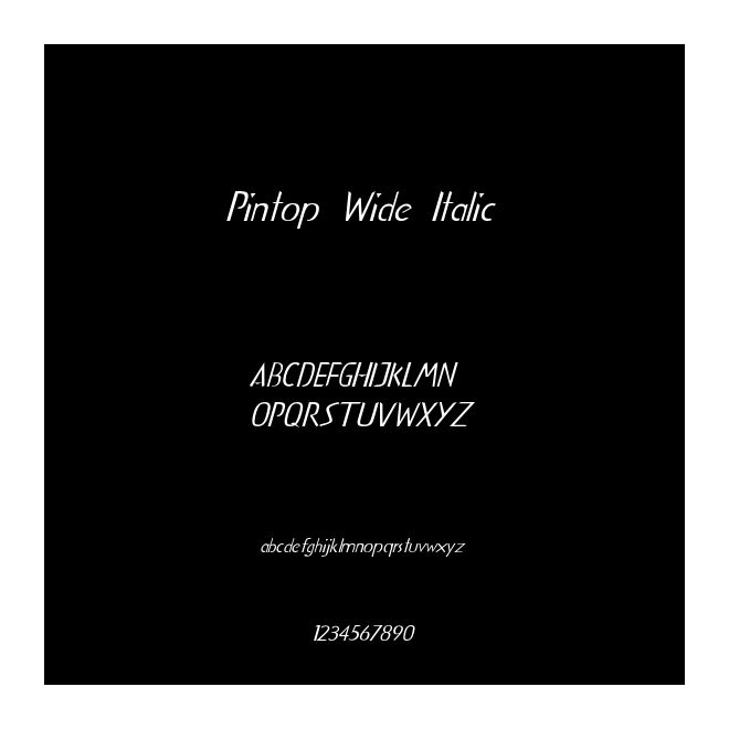 Pintop Wide Italic