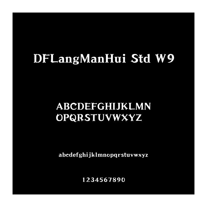 DFLangManHui Std W9