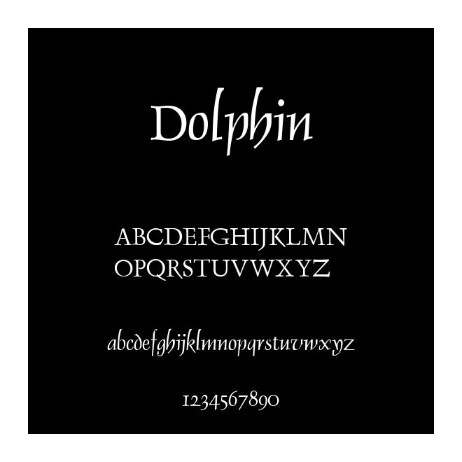 Dolphin