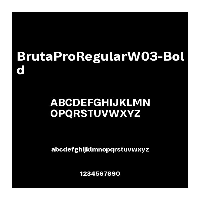 BrutaProRegularW03-Bold