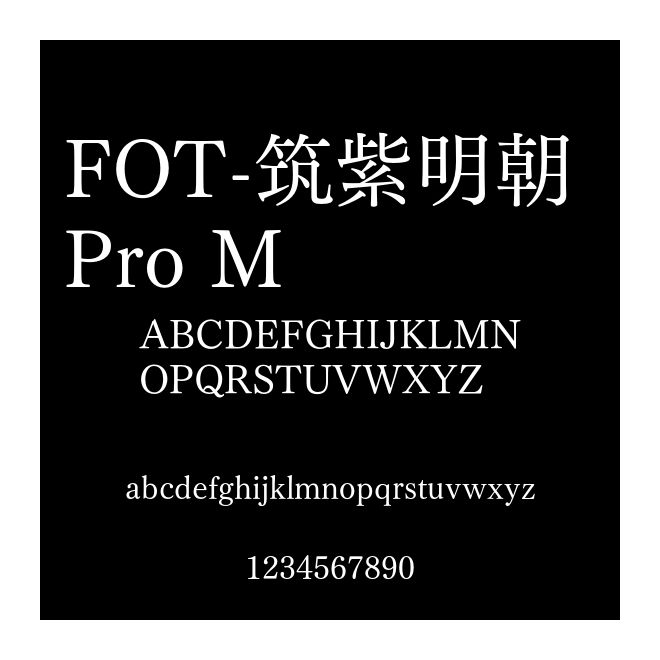 FOT-筑紫明朝 Pro M