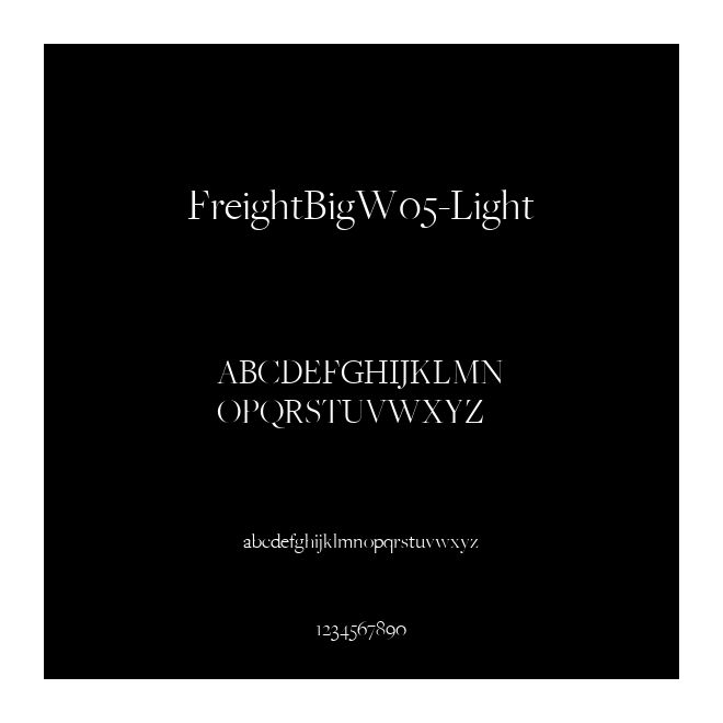 FreightBigW05-Light