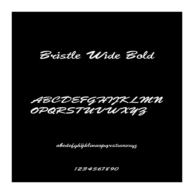 Bristle Wide Bold