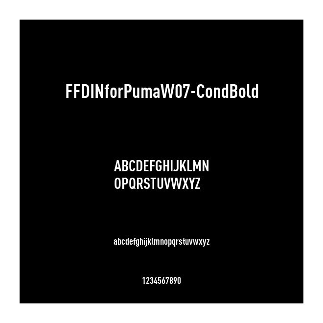 FFDINforPumaW07-CondBold