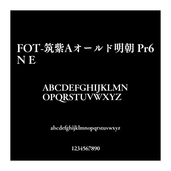 FOT-筑紫Aオールド明朝 Pr6N E
