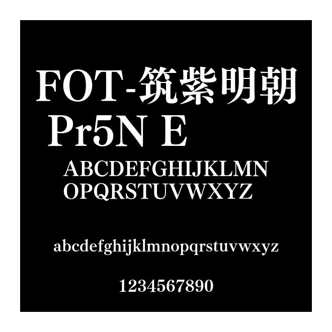 FOT-筑紫明朝 Pr5N E