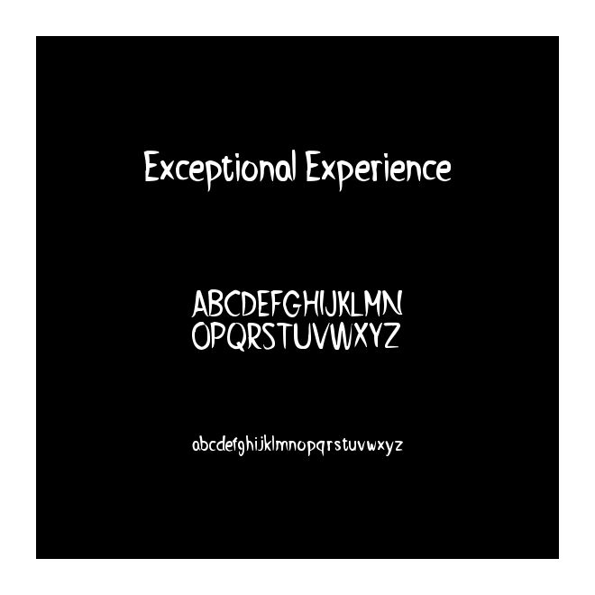 Exceptional Experience