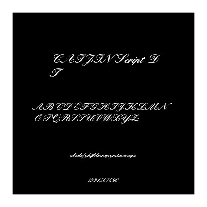 CAIJIN Script DT