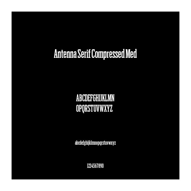 Antenna Serif Compressed Med