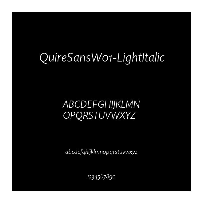 QuireSansW01-LightItalic