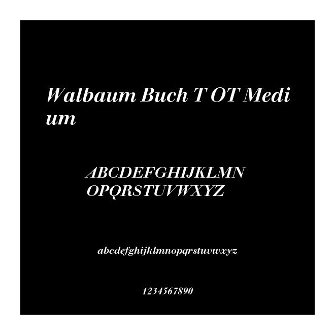 Walbaum Buch T OT Medium