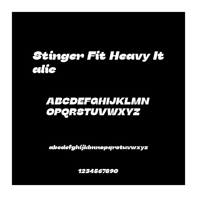 Stinger Fit Heavy Italic