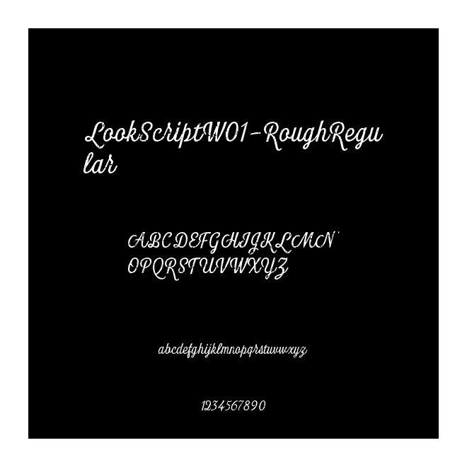LookScriptW01-RoughRegular