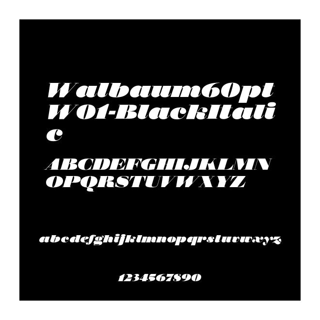 Walbaum60ptW01-BlackItalic