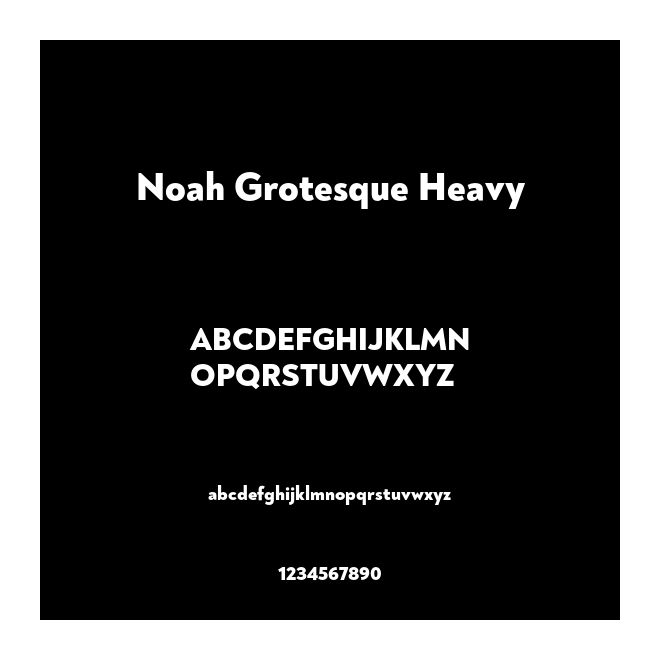 Noah Grotesque Heavy