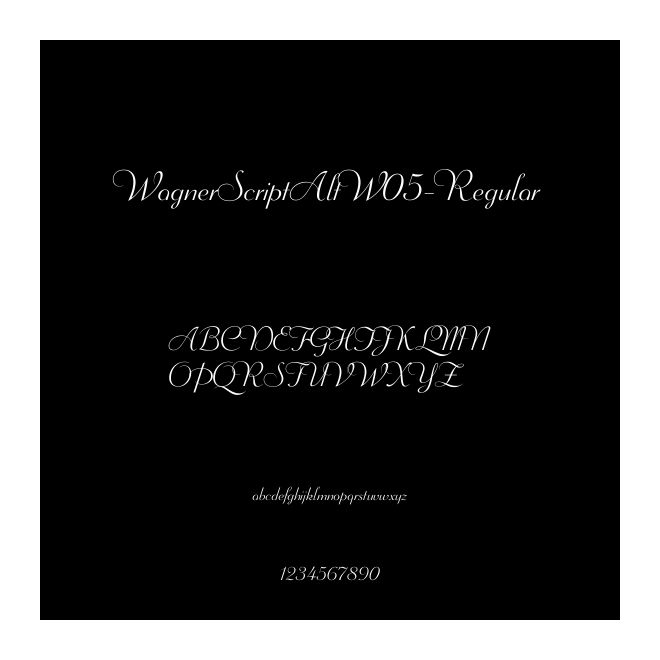 WagnerScriptAltW05-Regular
