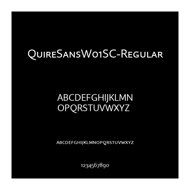 QuireSansW01SC-Regular