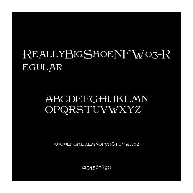 ReallyBigShoeNFW03-Regular