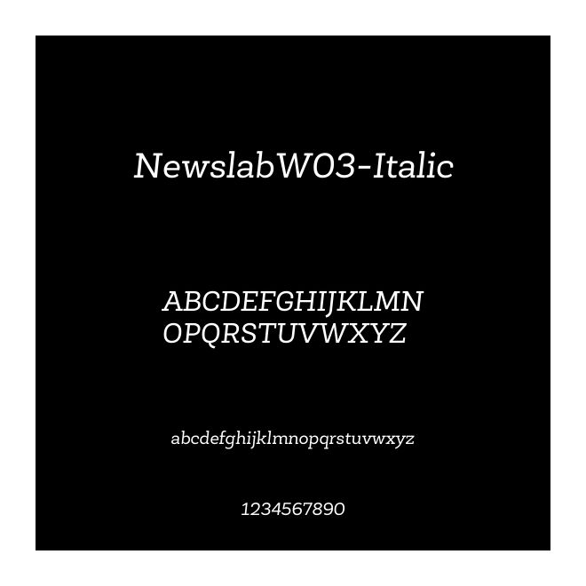 NewslabW03-Italic