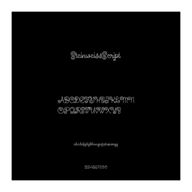SteinweissScript