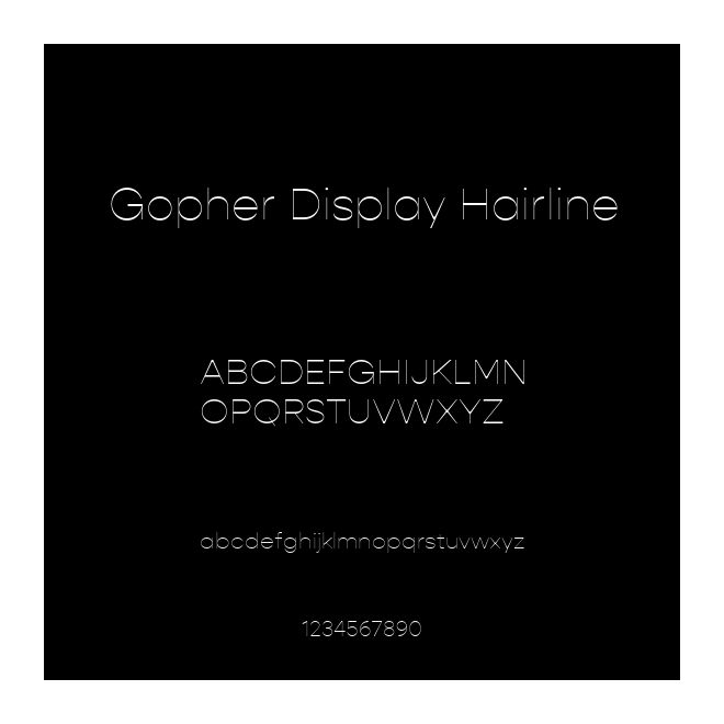 Gopher Display Hairline